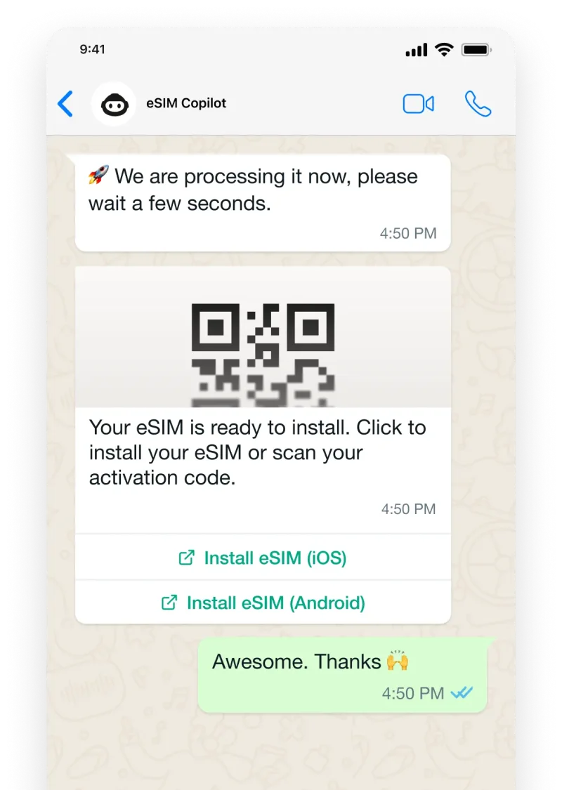 eSIM delivery in chat